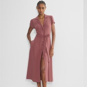 Aritzia Button-Down shirt Dress